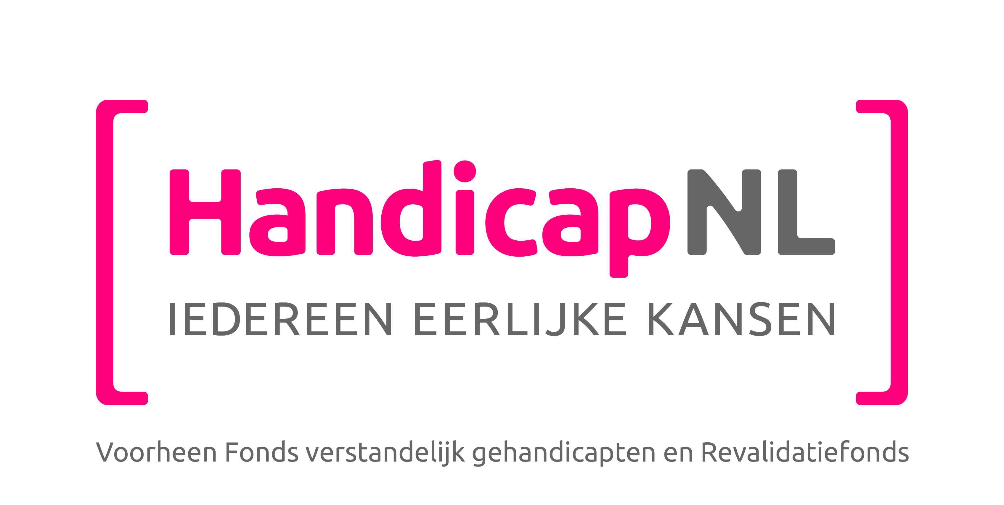 Logo S Handicapnl