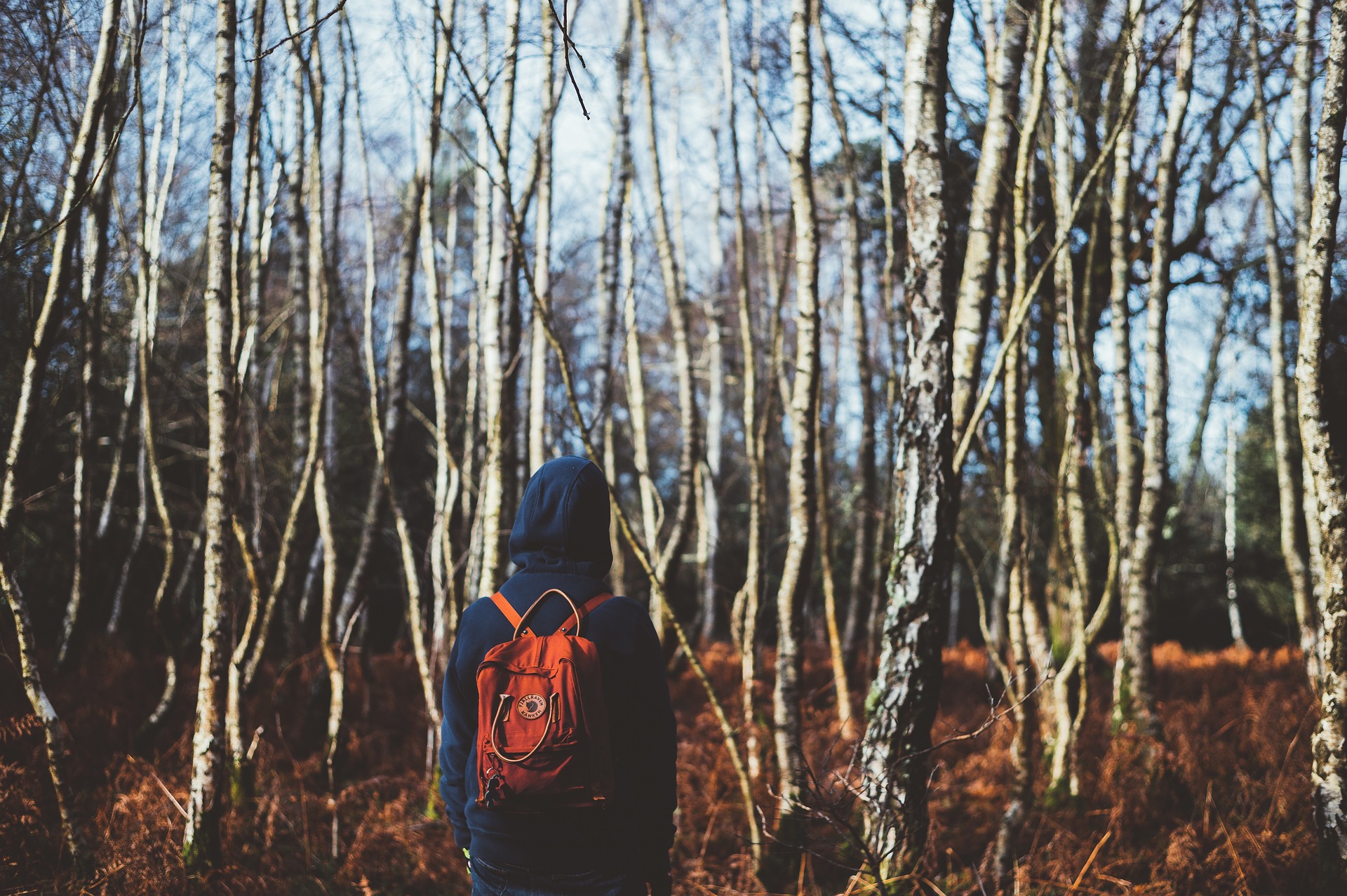 Jongen wandelt in het bos