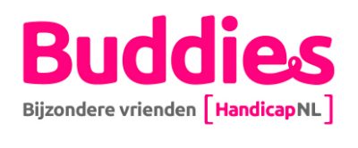 Buddies bijzondere vrienden logo