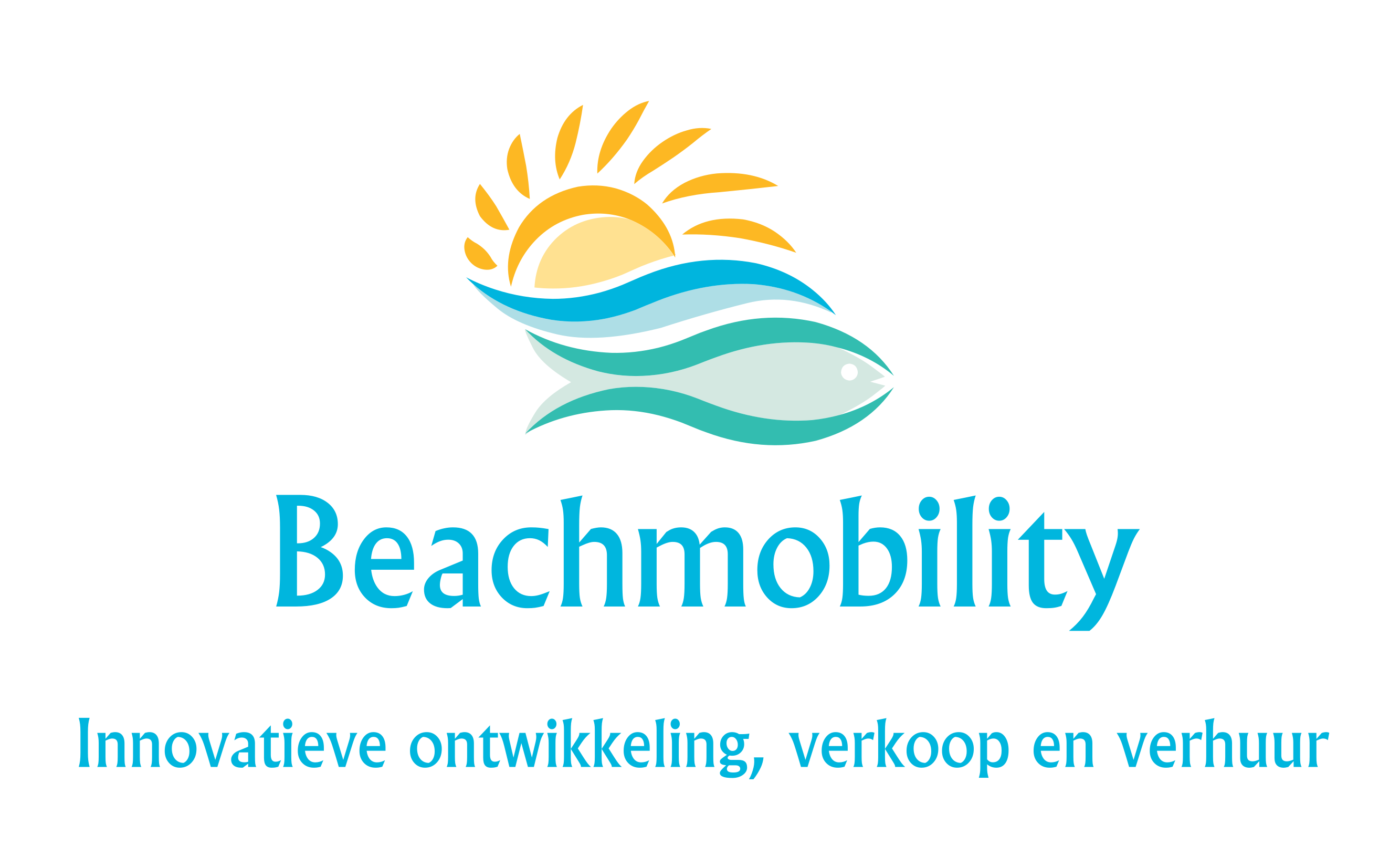 beach mobility