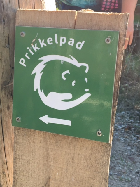 Bord Prikkelpad